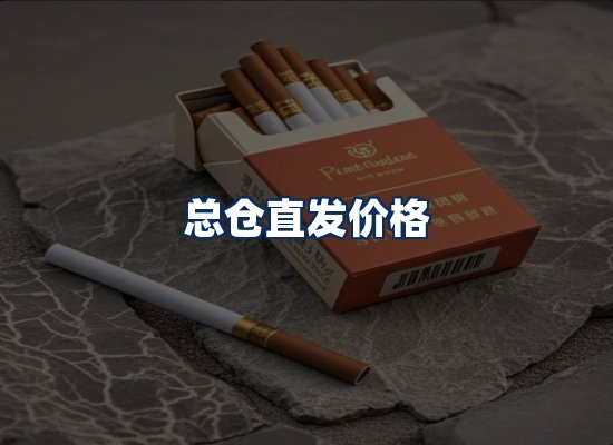 专业团队办公环境
